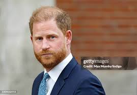 14,121 Harry Max Photos & High Res Pictures