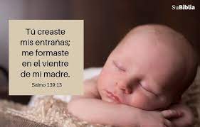 7 Versiculos Sobre La Importancia Que Dios Da A Los Ninos Su Biblia