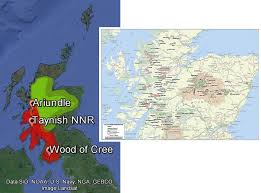 A stunningly beautiful walk through the ancient caledonian pine forest. Scotland S Ancient Forest Today Climate And The Individual