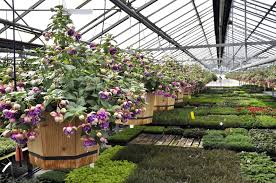 View directions to our location. Western Washington Nurseries Changing Along With Consumer Preferences The Spokesman Review