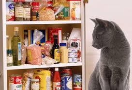 Check spelling or type a new query. Toxic Foods What Your Cat Should Never Eat Pethelpful