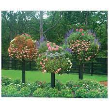 Pamela Crawford Planters Create Container Gardens Garden Planters Container Gardening Garden Shrubs