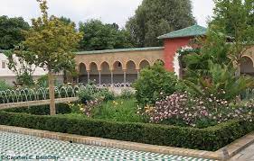 Botanischer garten berlin öffnet gewächshäuser am 14. Spaziergang Durch Die Garten Der Welt Wildes Berlin