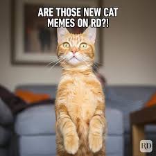 images?q=tbn:ANd9GcRWpbu-AL9Ub-_c5NvOXxc
