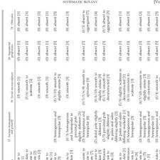 Image result for Faurea wentzeliana