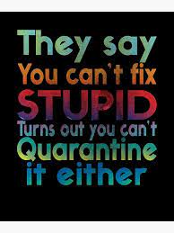 Funny Quotes They Say You Can T Fix Stupid Turns Out You Can T Quarantine It Either Greeting Card By Thehafdesigner Redbubble