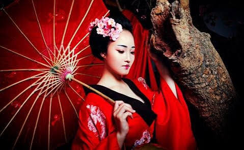 Geisha Nhật Bản là ai? – DG Nozomi