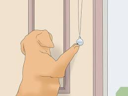 Limit the puppy's outdoor time. How To Potty Train Your Puppy Using A Bell With Pictures