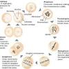 Many products that you buy can be obtained using instruction manuals. 1