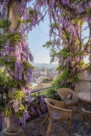 Wisteria Framing The Balcony View Of The City Lovely And Fragrant And It Adds Privacy As Well Notice The Interesting Flo Beautiful Gardens Beautiful Places