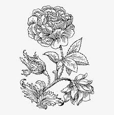 Maybe you would like to learn more about one of these? Floral Design Drawing Watercolor Painting Flower Monochrome Gambar Ilustrasi Hitam Putih Png Image Transparent Png Free Download On Seekpng