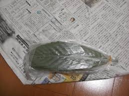 秘伝直伝 ビワの葉保存方法 Official Blog