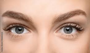 Foto Beautiful female eyes with long eyelashes, closeup do Stock | Adobe  Stock