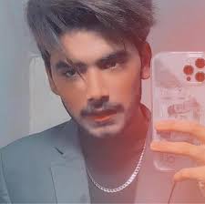 Oggy and the cockroaches