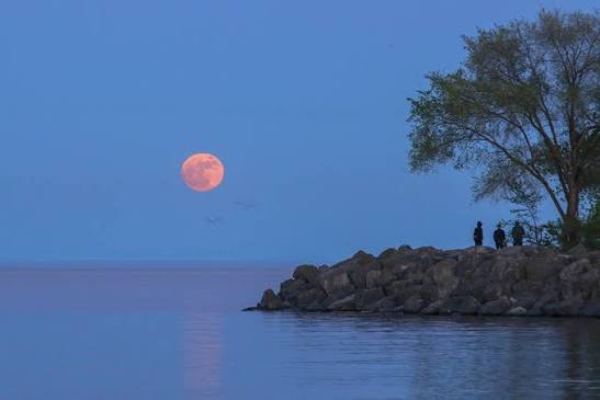 The Moon's orbit isn't a perfect circle. Last night's full Moon was the  smallest of the year, as it was at its furthest distance from Earth. It was  also the 2nd full