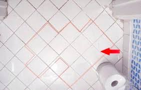 They can cause allergic reactions such as chronic breathing problems and vulnerable. Red Mold Bathroom Overview And Tips To Remove It Mold Cleans