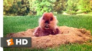 We did not find results for: Puppy Proof Gopher Killer Toyota Tundra Forum