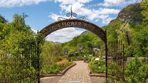 Maybe you would like to learn more about one of these? Lake Lure Flowering Bridge