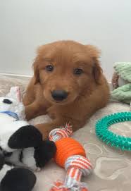 August 2023: : Financial Training & Communications: Indiana University