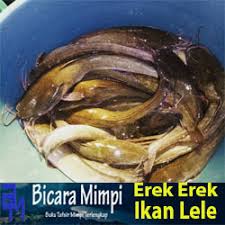 Kumpulan istilah, do'a, kata ucapan dan gambar selamat hari natal. Binatang Explore Tumblr Posts And Blogs Tumgir