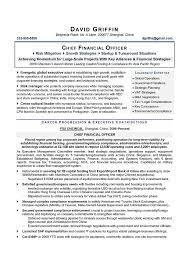 • lean six sigma finance representatif; Professional Cfo Resume Sample
