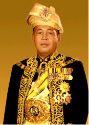 Pada bulan disember 2006 baginda telah dilantik menjadi timbalan yang dipertuan agong untuk kali pertama sehingga bulan disember 2011. Tuanku Syed Putra Ibni Al Marhum Syed Hassan Jamalullail Wikipedia Bahasa Melayu Ensiklopedia Bebas