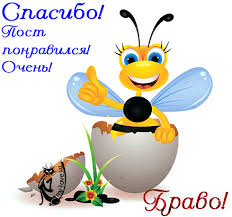 Картинки по запросу картинки анимация масленица браво