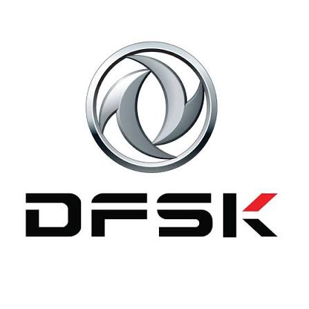 DFSK