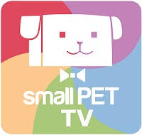 More than 1,000 pet companies from around the world gathered in orlando, florida, to showcase 23 best pet products from the 2020 global pets expo: 2020 Global Pet Expo Exhibitors Who Are Exhibiting In Orlando Florida February 26 28 2020