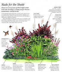 Shrubs for zone 4 are for sale from tn nursery with quick shipping and low prices. Ideas For An Easy Care Shady Border Gardendesignideas Shade Garden Plants Shade Garden Garden Shrubs