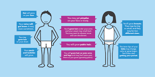 Pin On Puberty