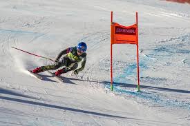 Italian federica brignone won in zauchensee. Mikaela Shiffrin Usa Redaktionelles Stockfotografie Bild Von Winter 171059282