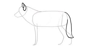 See more ideas about animal drawings, wolf art, wolf drawing. Sketchbook Original How To Draw Wolves Monika Zagrobelna