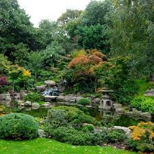 Small Japanese Garden Plants 9 Traditional Japanese Plants For Your Gan The Spruce The Mountaino Japanese Garden Japanese Garden Plants Japanese Garden Design