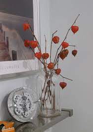 Chinese lantern is traditional chinese handicraft, with a history of over 1800 years, and is now a symbol of china. Dried Chinese Lanterns In An Old Glass Jar As Simple As This Can Transform The Feeling Of Any Room In Y Chinese Lanterns Plant Chinese Lanterns Flower Display