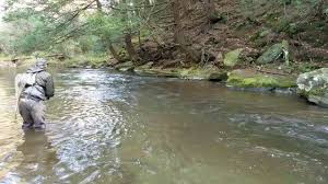 Fly Fishing Northcentral Pennsylvania Cedar Run Pa Fly