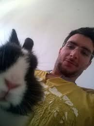 What mechanics do you run for pet dragon eggs in your game?