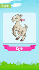 Free download sinhala akuru,pillam,alphabet android app, install android . Akuru Sinhala Learning For Kids For Android Apk Download
