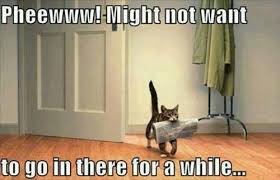 May 27, 2021 · carlsagan: Lolcats Clean Lol At Funny Cat Memes Funny Cat Pictures With Words On Them Lol Cat Memes Funny Cats Funny Cat Pictures With Words On