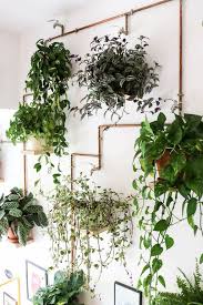 Inspiration From Bcn Cafe Orion Barcelona Forest Homes Foresthomesstore Com Homedecor Homedecoride Pflanzen Wandgestaltung Pflanzen Balkon Pflanzen