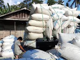 Sebuah ngo kini menggalakkan penggunaan oven sekam padi sebagai sumber energi hijau. Infopublik Pengepul Sekam Padi