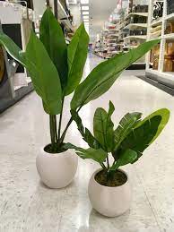 Fake Plants That Look Great From Cb2 Target Welcome Objects Faux Plants Decor Artificial Plants Decor Fake Plants Decor