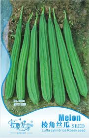 Image result for Luffa acutangula