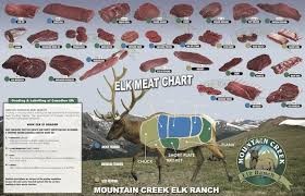 Elk Meat Diagram List Of Wiring Diagrams