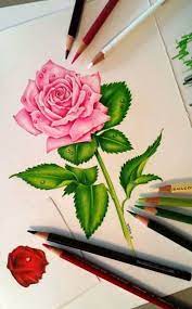 Desene disney desene artistice desene cu creioane colorate. 9 Desene Cu Creioane Colorate Ideas Creioane Colorate Desene Cu Creioane Colorate Flori