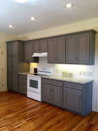 The island is 12 feet long and has honey oak cabinets on both sides (the gas cooktop is in the island). Facebook