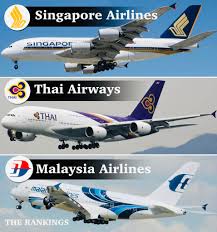 Image result for Tan 2009 Fleet