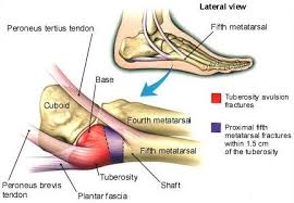 Pin On Healing