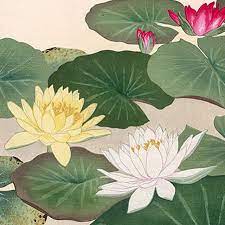 Water Lily Flowers Of Japan A 1900 Japanese Woodblock Print By Chigusa Soun Japanese Flower Gard Japanese Woodblock Printing Flower Painting Japanese Art