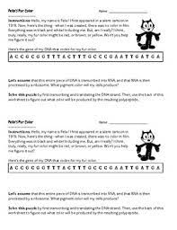 Thanks for visiting our site. Felix S Fur Color Transcription Translation Warm Up By Bio Bouquet